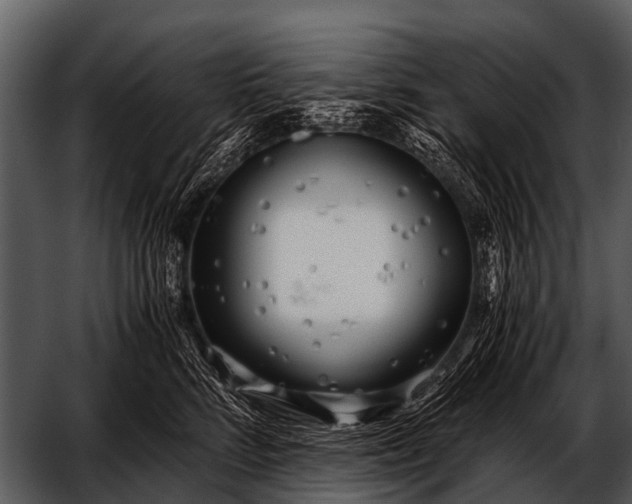 X0000052650712200507160223