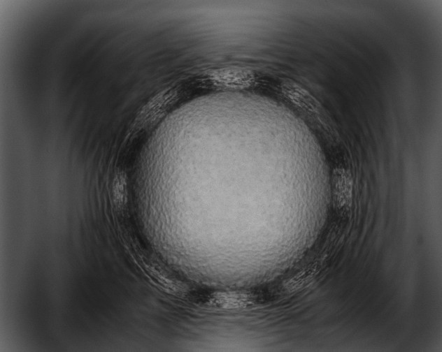 X0000052650713200507160223