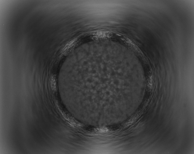 X0000052650715200507160223