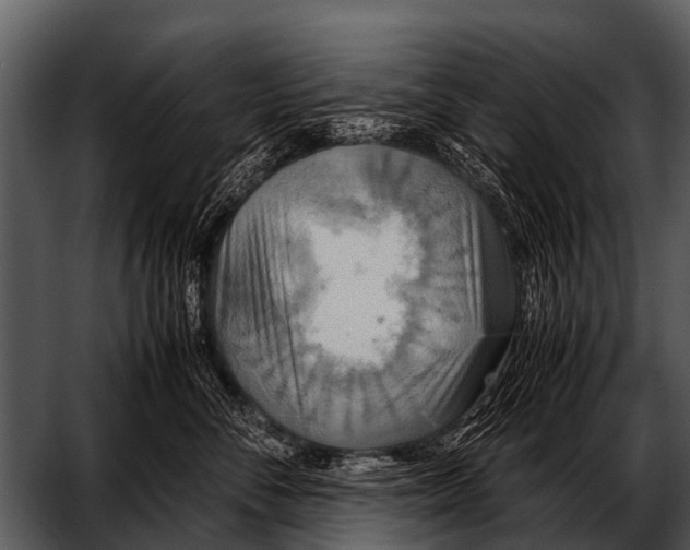 X0000052650716200507160223