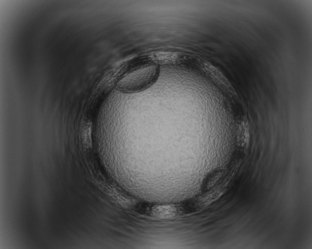 X0000052650717200507160223