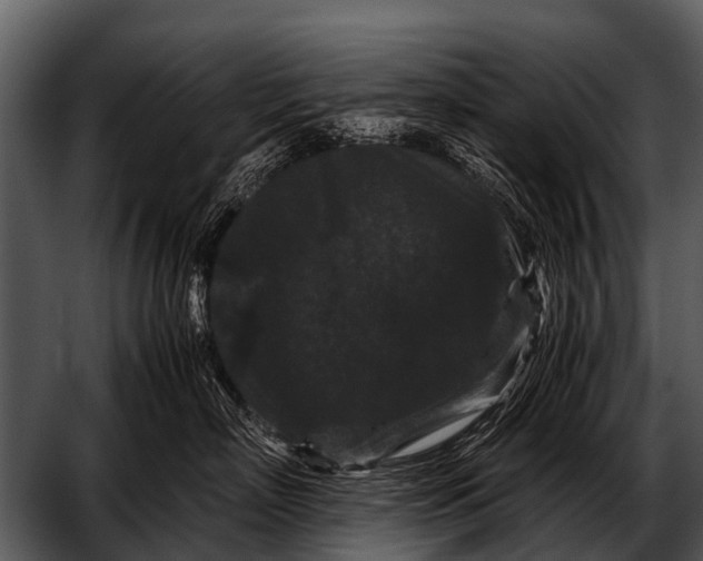 X0000052650718200507160223