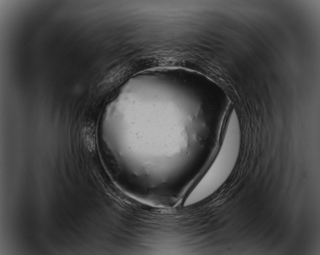 X0000052650719200507160223