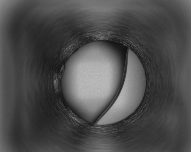 X0000052650720200507160223