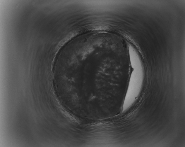 X0000052650721200507160222