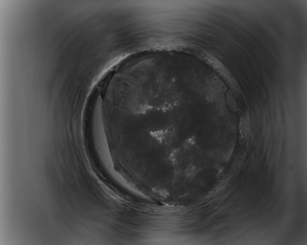 X0000052650722200507160222