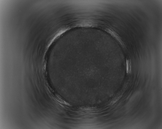 X0000052650723200507160222