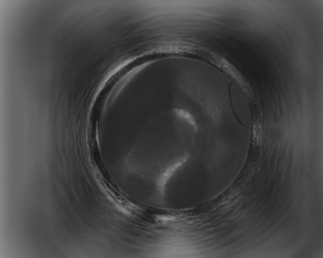 X0000052650724200507160222