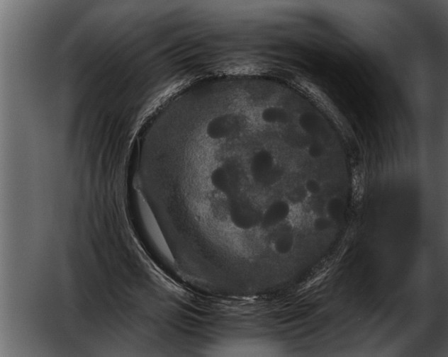 X0000052650725200507160222