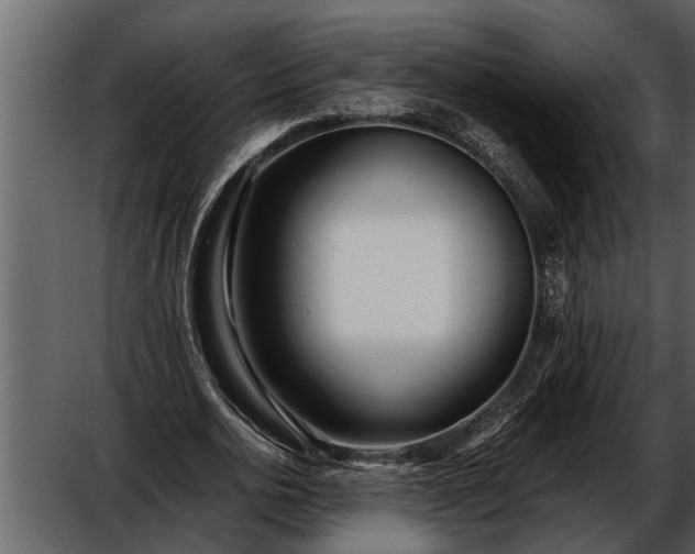 X0000052650726200507160222