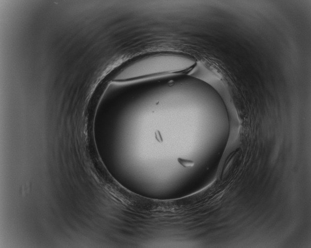 X0000052650727200507160222