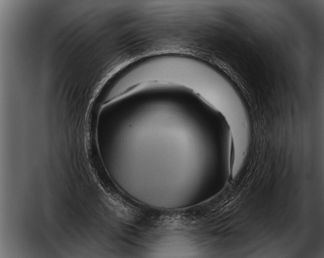 X0000052650728200507160222