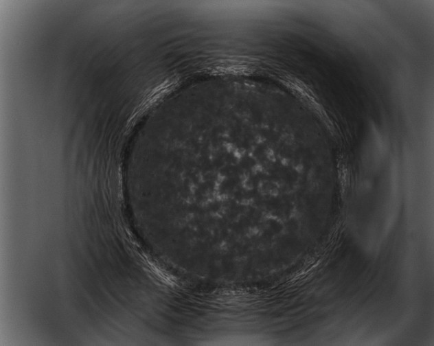 X0000052650729200507160222