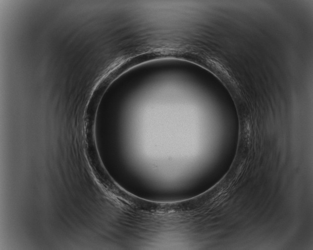 X0000052650730200507160222