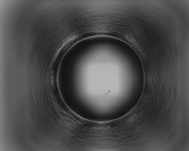 X0000052650731200507160222