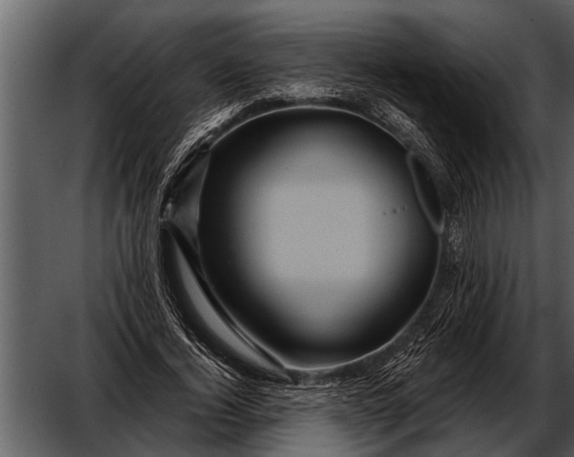 X0000052650732200507160222