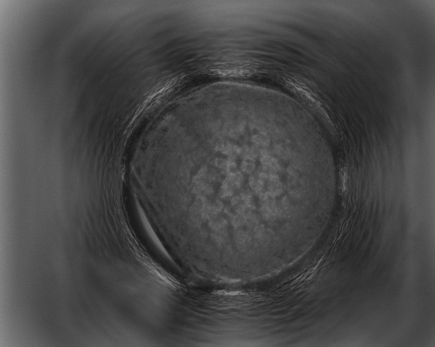 X0000052650733200507160222