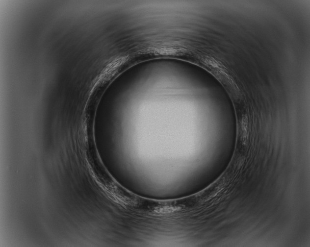 X0000052650734200507160222