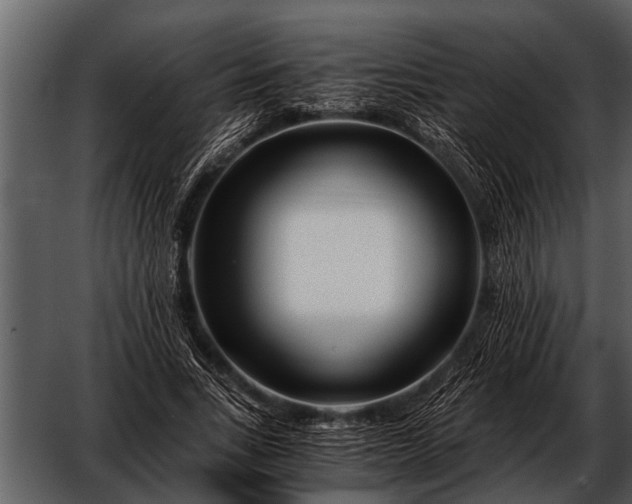 X0000052650735200507160222