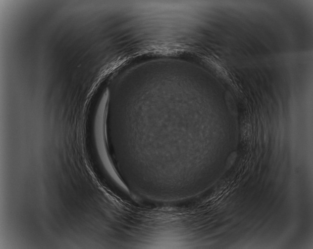 X0000052650736200507160222