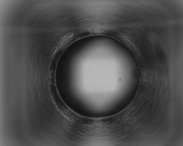 X0000052650738200507160222