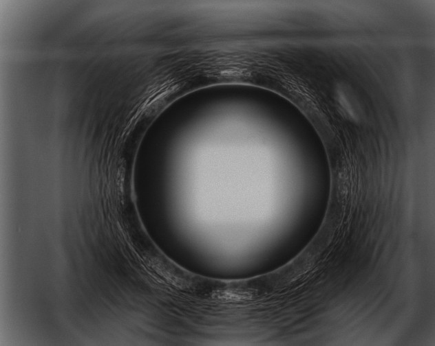 X0000052650739200507160222