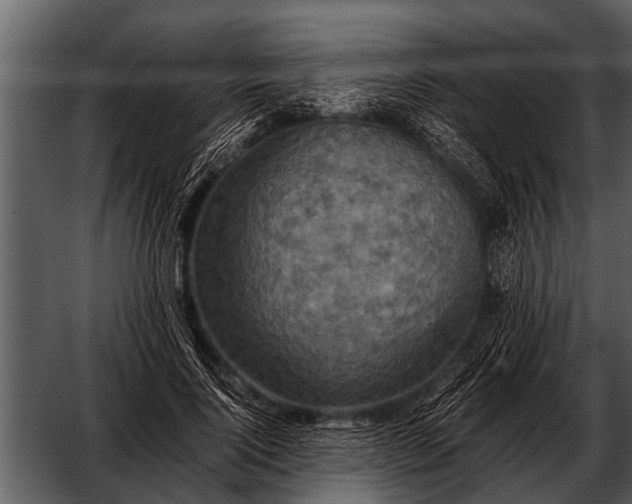 X0000052650740200507160222