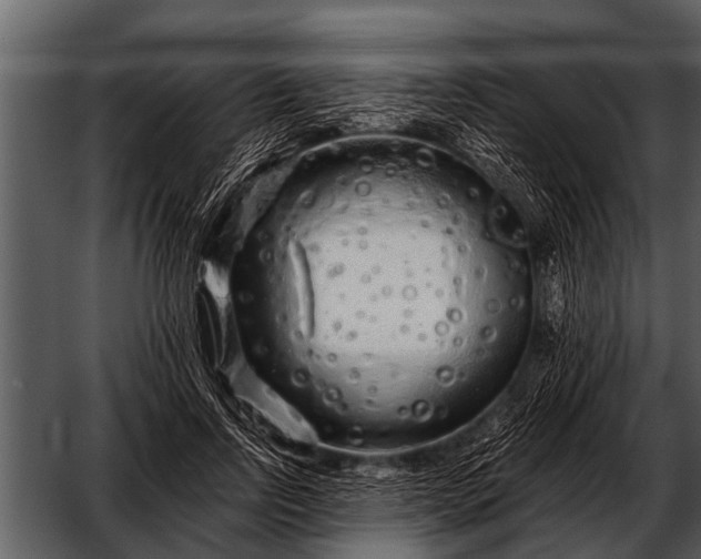 X0000052650742200507160222