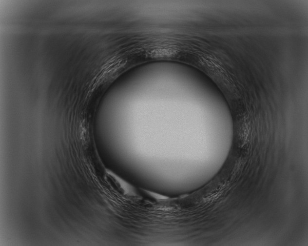 X0000052650743200507160223