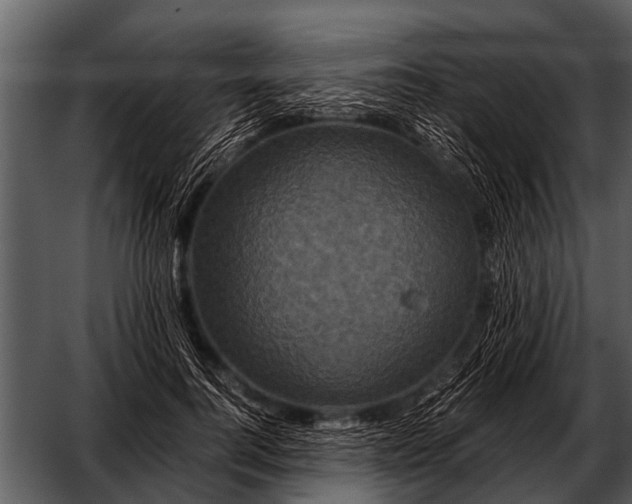 X0000052650744200507160223