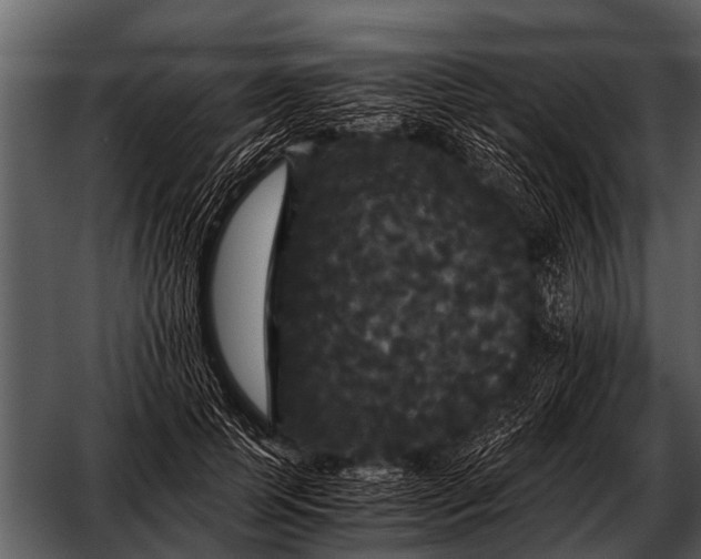 X0000052650745200507160223