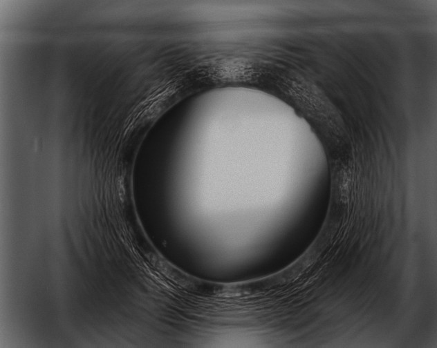 X0000052650746200507160223