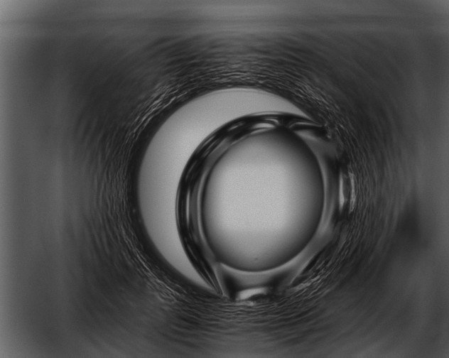 X0000052650747200507160223