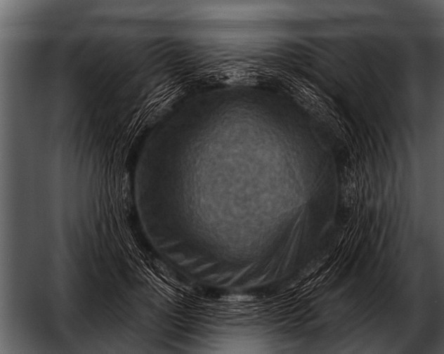 X0000052650748200507160223