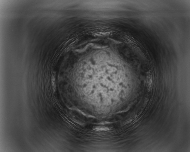 X0000052650749200507160223