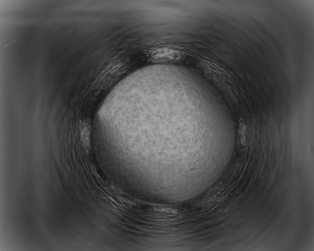 X0000052650753200507160223