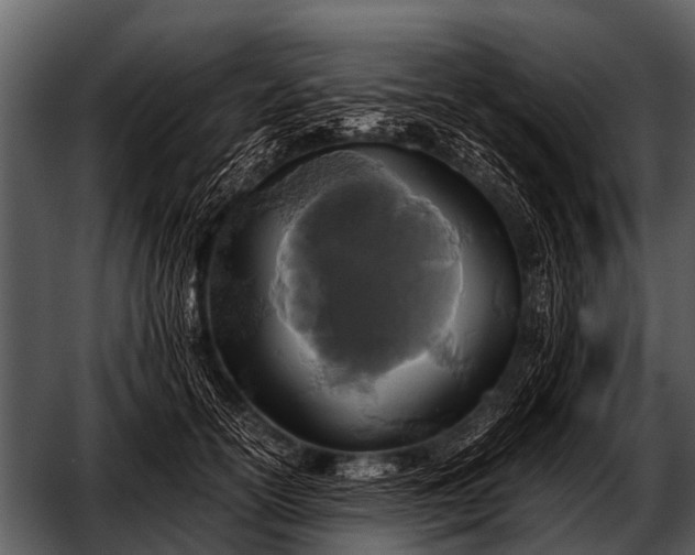 X0000052650754200507160223