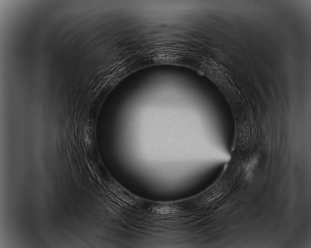 X0000052650755200507160223