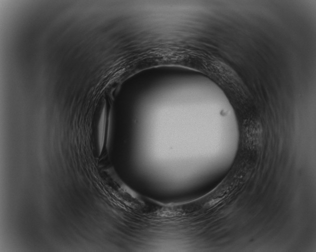 X0000052650756200507160223