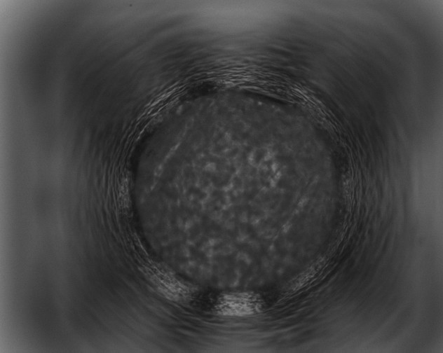 X0000052650757200507160223