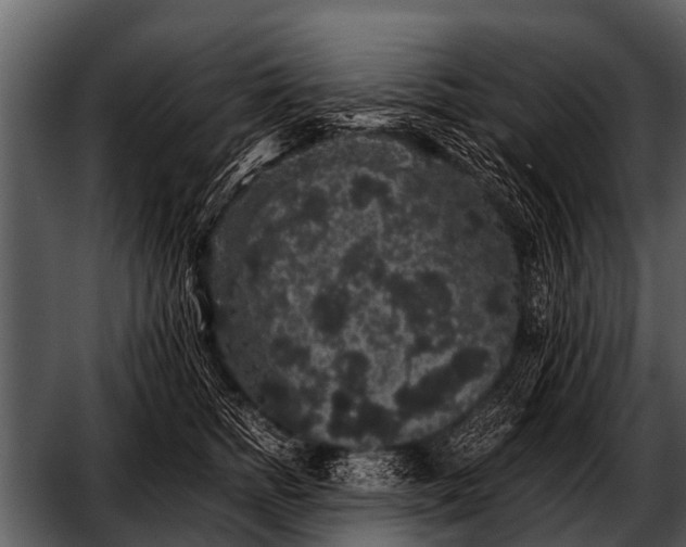 X0000052650758200507160223