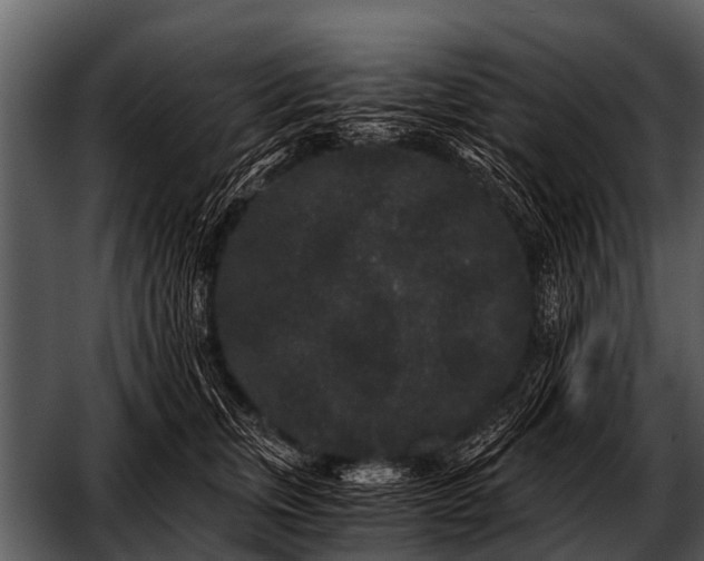 X0000052650759200507160223