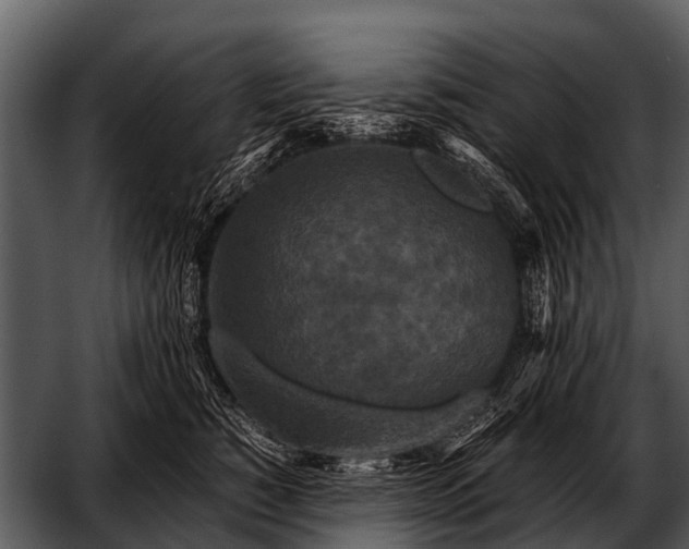 X0000052650760200507160223