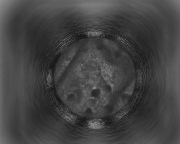 X0000052650761200507160223