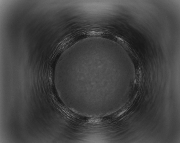 X0000052650762200507160223