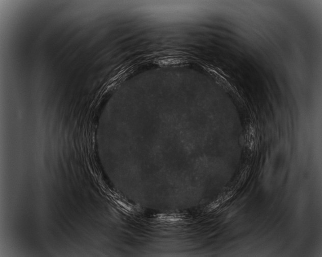 X0000052650763200507160223