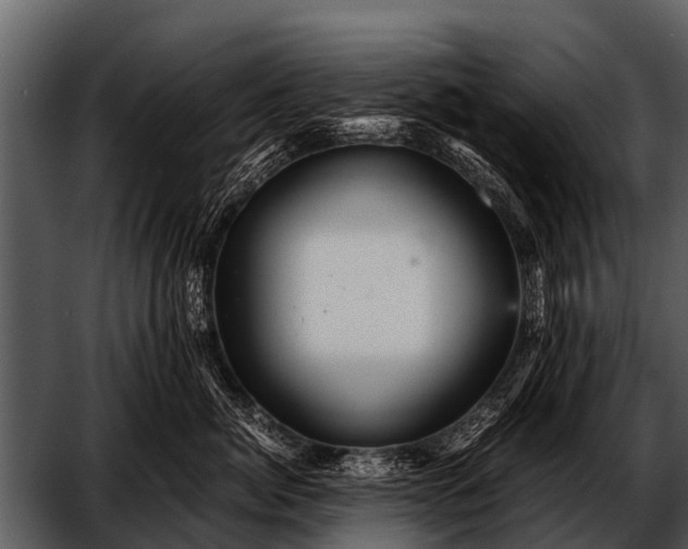 X0000052650764200507160223