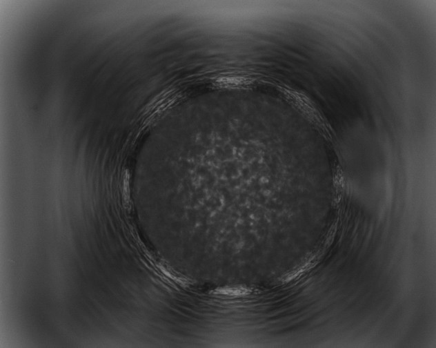 X0000052650765200507160223