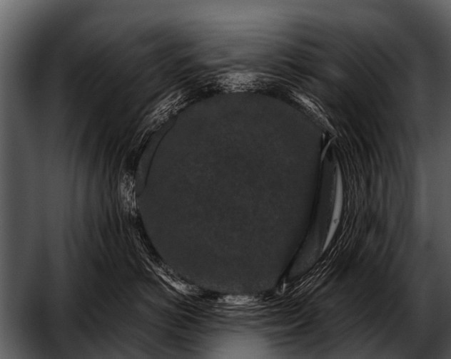 X0000052650766200507160223