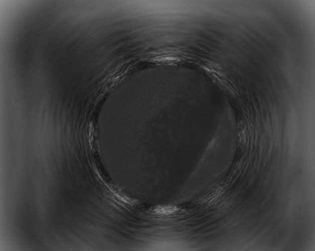 X0000052650767200507160223